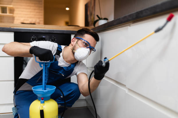 Best Pest Inspection Near Me  in Hillsboro, OH