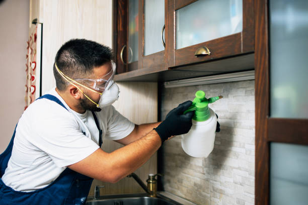 Wildlife Control Services in Hillsboro, OH