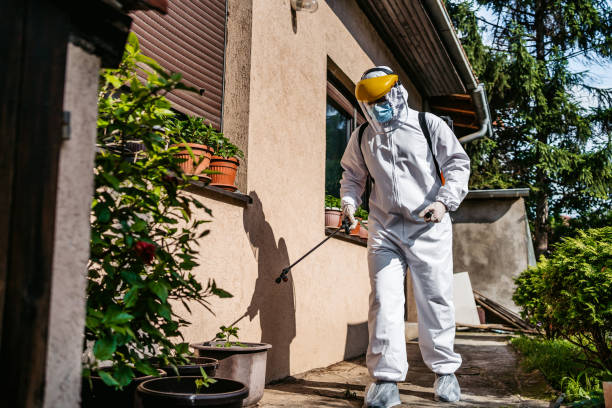 Best Residential Pest Control  in Hillsboro, OH