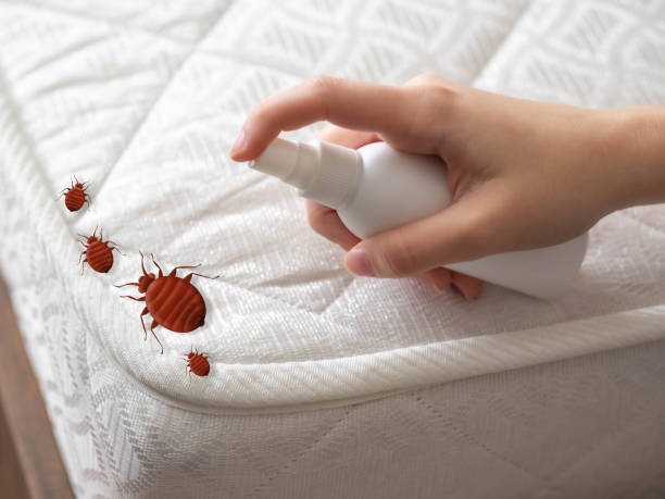 Best Pest Removal Services  in Hillsboro, OH
